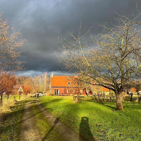 Liljas Haus Im Spreewald Apartment Burg  Luaran gambar