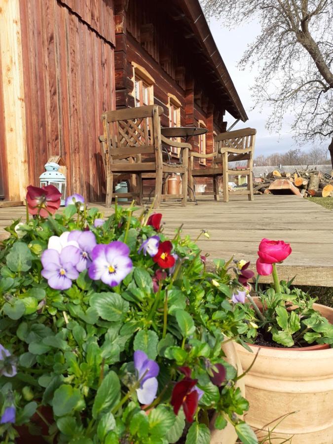 Liljas Haus Im Spreewald Apartment Burg  Luaran gambar