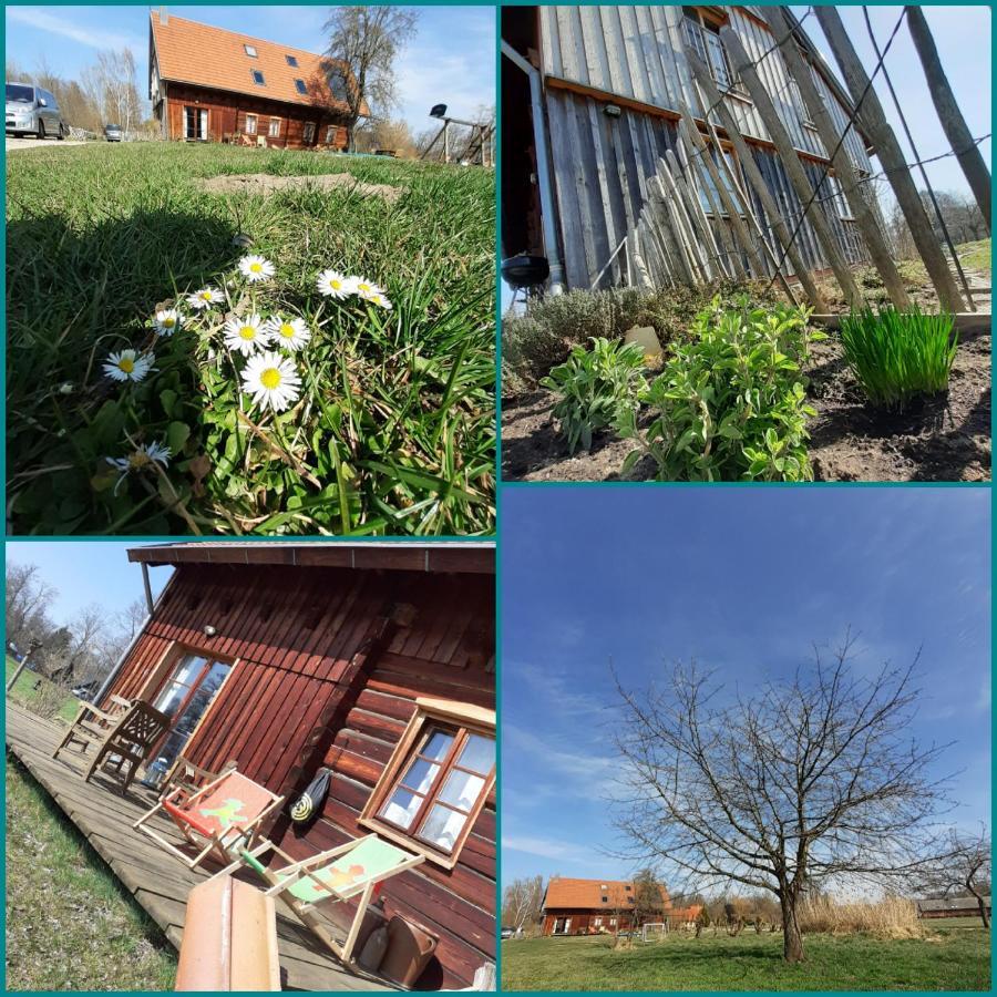 Liljas Haus Im Spreewald Apartment Burg  Luaran gambar