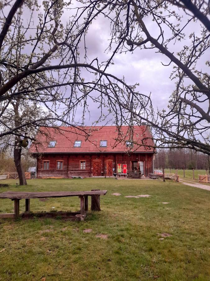 Liljas Haus Im Spreewald Apartment Burg  Luaran gambar