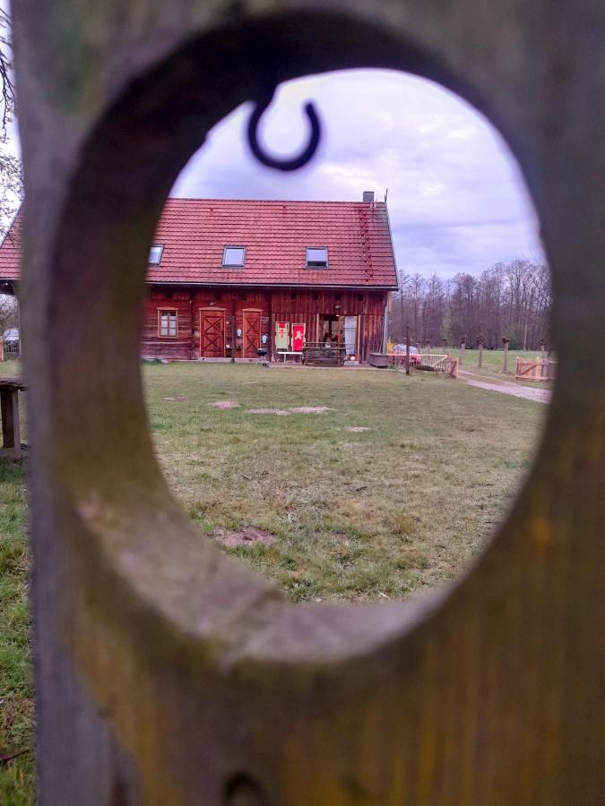 Liljas Haus Im Spreewald Apartment Burg  Luaran gambar