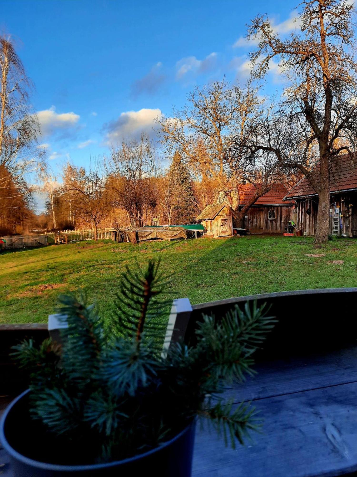 Liljas Haus Im Spreewald Apartment Burg  Luaran gambar