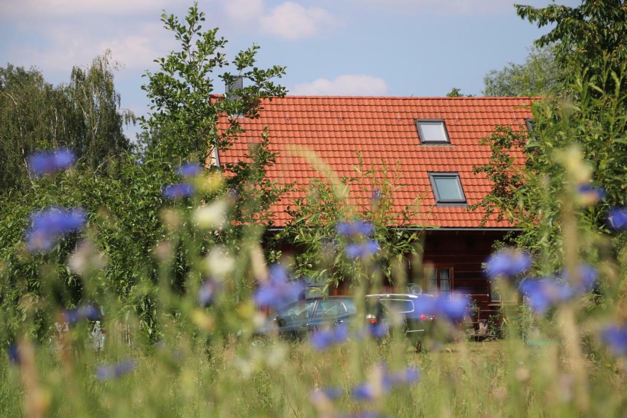 Liljas Haus Im Spreewald Apartment Burg  Luaran gambar